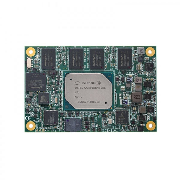 CEM310PG-E3930+4GB(Ind)