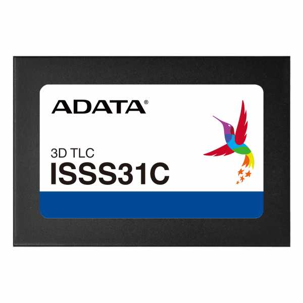 ISSS31C-256GSTB5