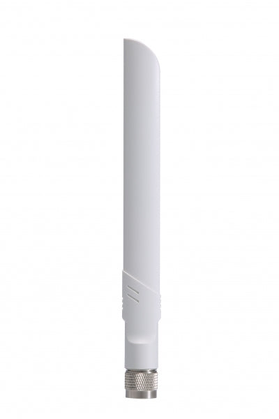 ANT-WDB-ANM-0306